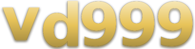 vd999 logo